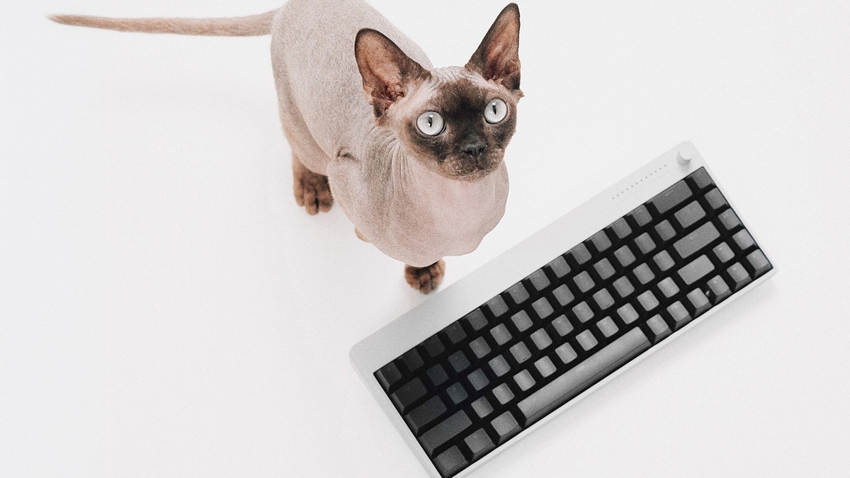 ガラス製マウスパッドのWALLHACK、初のキーボード「K-001」とマウス「M-001」を発表。キーボードは8/21（金）発売